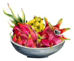 Watercolor red pink and yellow dragon fruits harvest in grey ceramic bowl illustration. Pitaya exotic tropical Asian food designs png