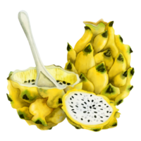 Yellow dragon fruit dessert watercolor illustration with whole pitaya, half with spoon and slice . Realistic botanical drawing of exotic Asian cactus for summer flavors and designs png