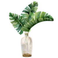 Tropical leaves of monstera, palm tree and banana in transparent vase bottle watercolor illustration. Trendy boho style summer clipart png