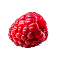 Raspberry , Red raspberry on a transparent background png