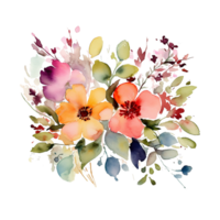 Flowers aquarelle , flowers aquarelle with transparent background png