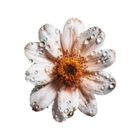 fleur png, fleur avec transparent Contexte ai généré png