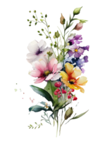 Aquarell Blume, Aquarell Blume png, Aquarell bunt Frühling Blumen ai generiert, Blume png Hintergrund