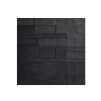 plattor png, svart plattor med transparent bakgrund ai genererad png