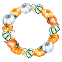 Watercolor illustration of bright pumpkins on a transparent background. Drawn watercolor wreath of vegetables. png