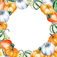 Watercolor illustration of bright pumpkins on a transparent background. Drawn watercolor frame of vegetables. png