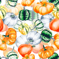 Pumpkins. Watercolor drawing of bright pumpkins. Seamless pattern with vegetables on a transparent background. png