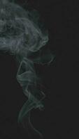 Slow motion vertical video of white smoke, fog, mist, vapor on a black background.