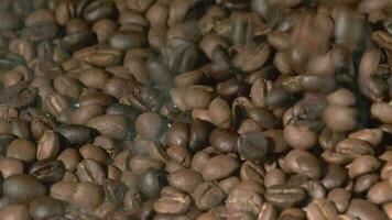 slow motion van gebrande koffiebonen vallen. biologische koffie zaden. video