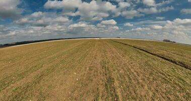 yellow little planet transformation with curvature of space among fields in sunny day with clear sky and beautiful clouds video