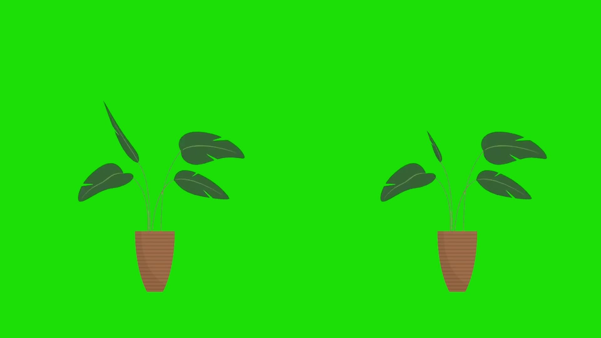 Health Green Screen Stock Video Footage for Free Download