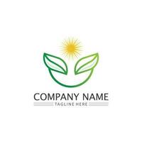 Tree leaf vector and green logo design friendly concept