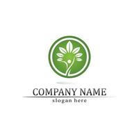 Tree leaf vector and green logo design friendly concept