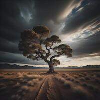 Tree on the road in the desert. Vintage style. photo