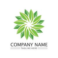 leaf logo design vector for nature symbol template editable,Green leaf logo ecology nature element vector icon.