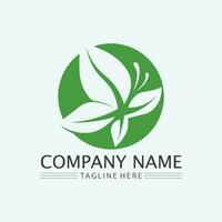 leaf logo design vector for nature symbol template editable,Green leaf logo ecology nature element vector icon.