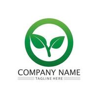 Tree logo icon vector illustration design.Vector silhouette of a tree templates of tree logo and roots  tree of life design illustration