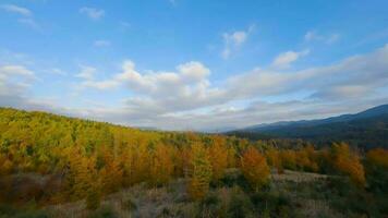 aereo Visualizza di un' luminosa autunno foresta su il versante di il montagne video