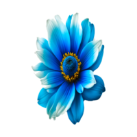 bleu gerbera fleur png génératif ai