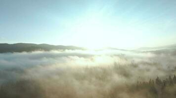 visie van de hoogte van bergen gedekt met naald- Woud en ochtend- mist. mystiek herfst berg landschap video