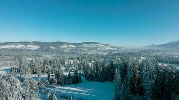 inverno nel il montagne. aereo Visualizza di il innevato conifero foresta su il versante di il montagne e il fiume nel il valle video