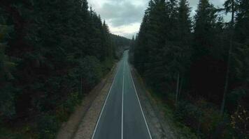 meraviglioso autunno paesaggio. volante al di sopra di il strada tra enorme abete alberi, montagne siamo visibile nel il sfondo video