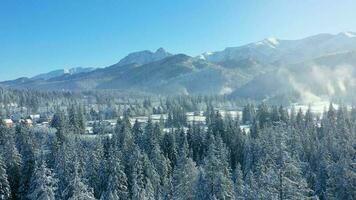 Camera descends over the mountain river surrounded by a snow-covered forest video