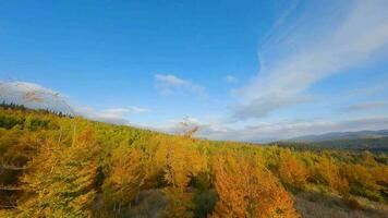 Aerial view of a bright autumn forest on the slopes of the mountains video