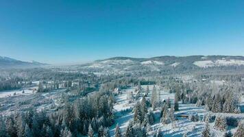 Winter in the mountains. Aerial view of the snow-covered coniferous forest on the slopes of the mountains and the river in the valley video