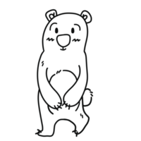 cute line bear png