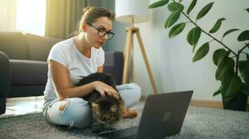 Frau mit Brille ist Sitzung auf das Teppich und Arbeiten auf ein Laptop. ein flauschige Katze Lügen auf das Couch hinter ihr. Konzept von Fernbedienung Arbeit video