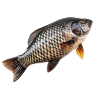 poisson isolé sur transparent arrière-plan, numérique art, png images, isolé sur une transparent arrière-plan, génératif ai