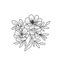 Flower outline for coloring book png