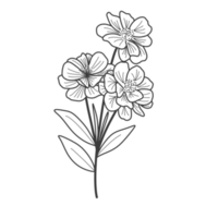 Flower outline for coloring book png