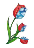 Surrealist tulip flowers. Hand acrylic painting on canvas. png