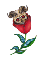 Fantasy surreal devil skull in tulip flower.Hand painting on canvas. png