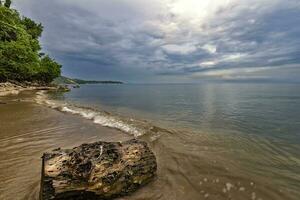 Seascape, Superb long exposure sunrise view with a log at the Black Sea coast, Bulgaria photo