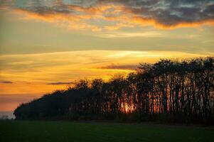 silueta de arboles en el campo a el puesta de sol. increíble cielo y luz de sol a puesta de sol cielo Entre el arboles foto