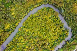 Aerial View Of Autumn Forest And River Curve. Birds Eye View photo