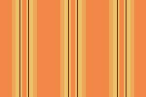 Pattern textile texture of fabric lines background with a stripe seamless vector vertical.