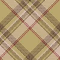 Plaid pattern vector. Check fabric texture. Seamless textile design for clothes, paper print. vector