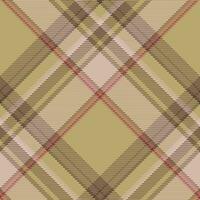 Plaid pattern vector. Check fabric texture. Seamless textile design for clothes, paper print. vector