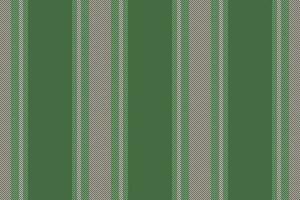 Texture pattern lines of fabric stripe textile with a background seamless vector vertical.