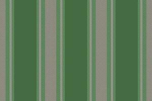 Texture pattern lines of fabric stripe textile with a background seamless vector vertical.