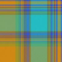 Texture check textile of tartan pattern plaid with a background seamless fabric vector. vector
