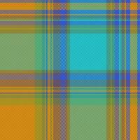 Texture check textile of tartan pattern plaid with a background seamless fabric vector. vector