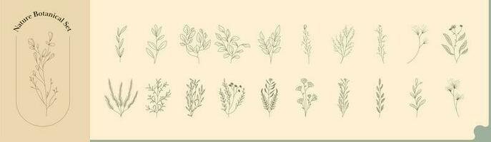 Set of Flowers And Leaves Element In Doodle Style. vector