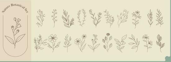 Set of Doodle Style Floral And Leaves On Pastel Orange Background. vector