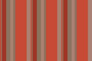 Vertical stripes seamless pattern. Lines vector abstract design. Stripe texture suitable fashion textiles.