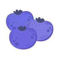 Fresh organic fruit blackberries icon isolated vector